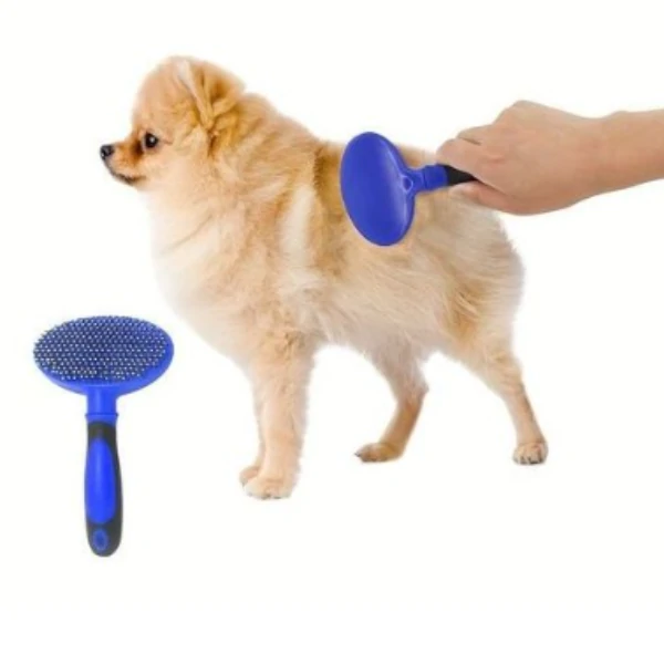 Brosse de chien