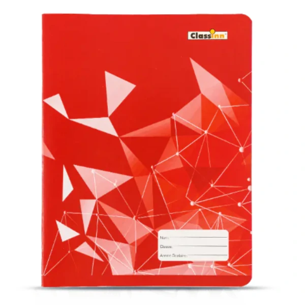 Cahier 100p
